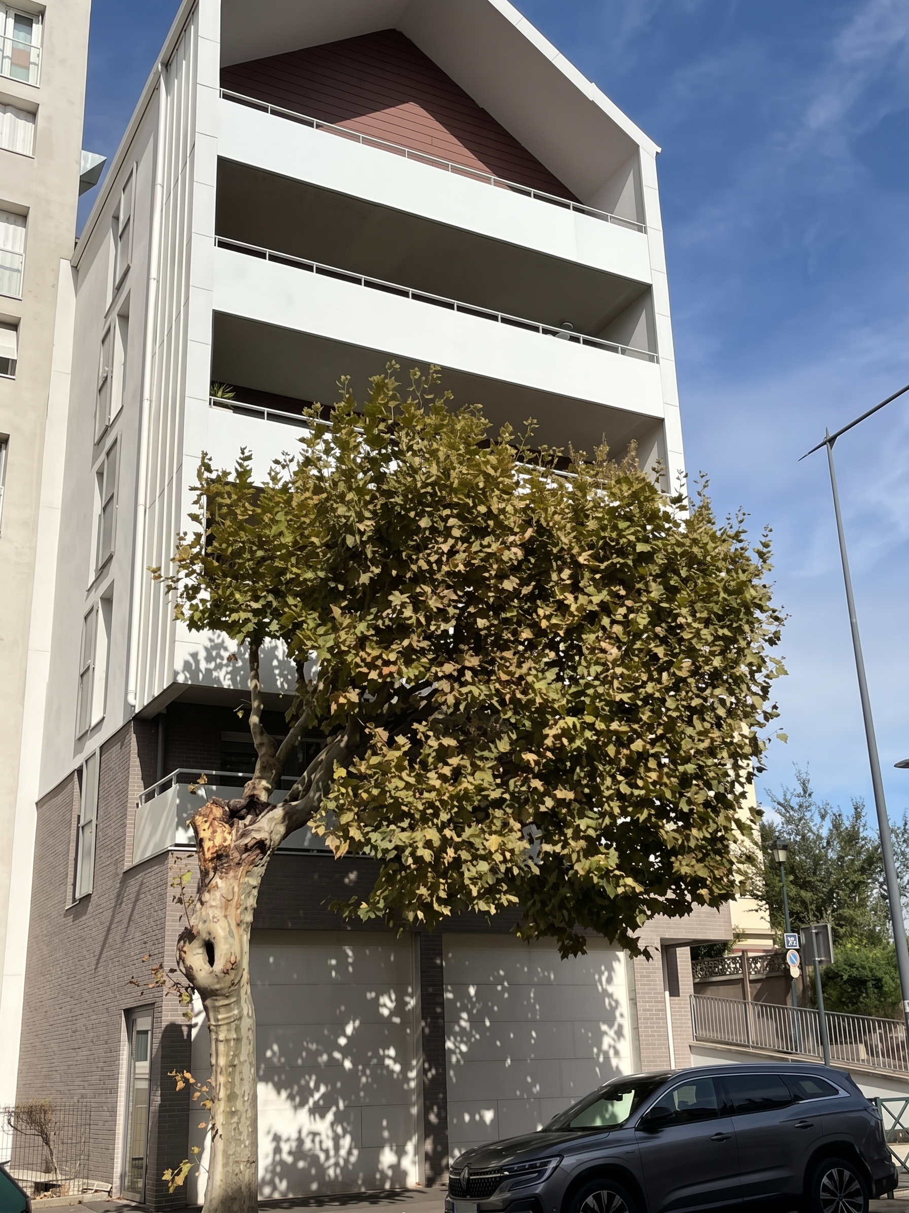 Location pure Local commercial 168 m² Nogent-sur-Marne