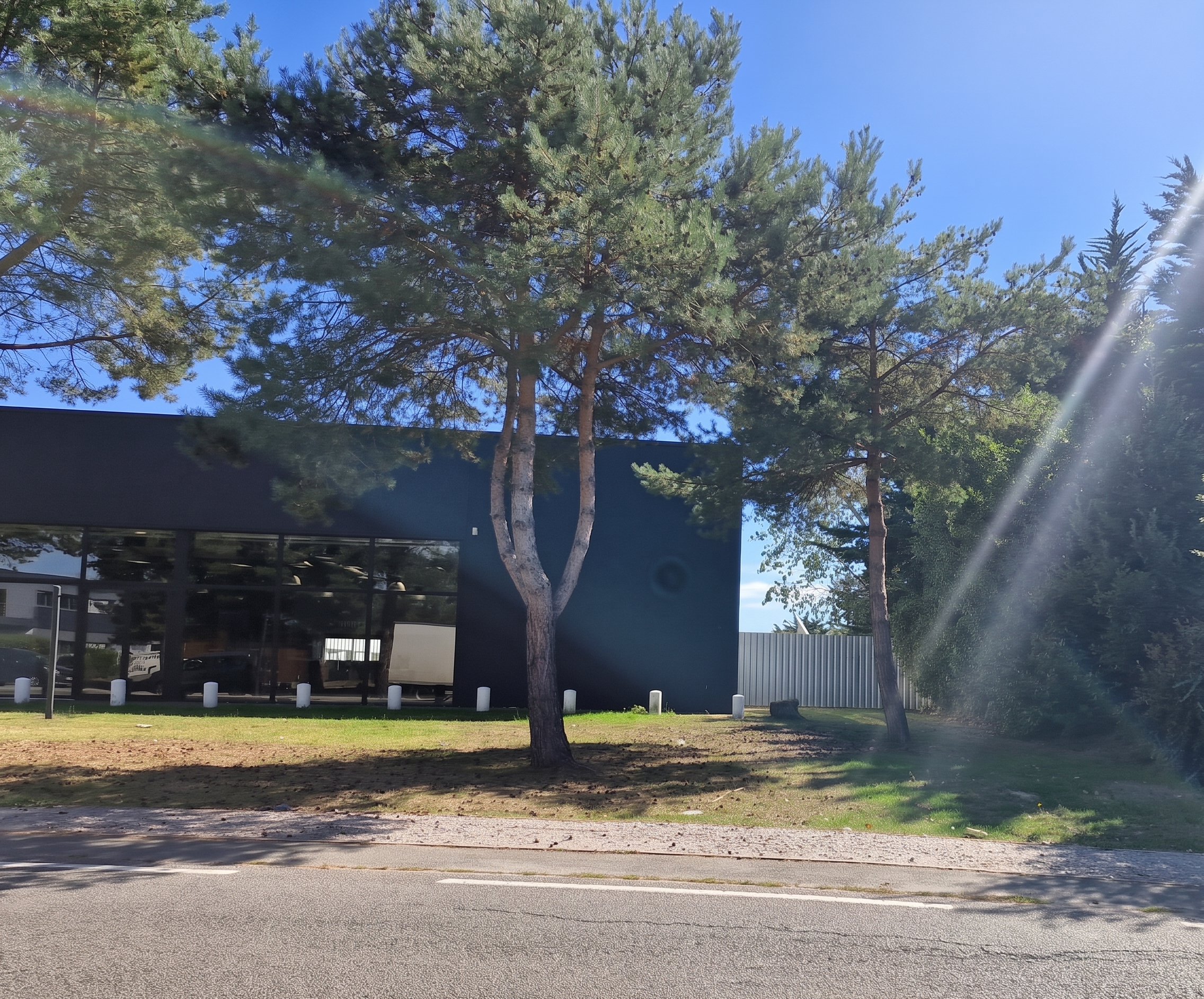 Location pure Local commercial 400 m² Pornic