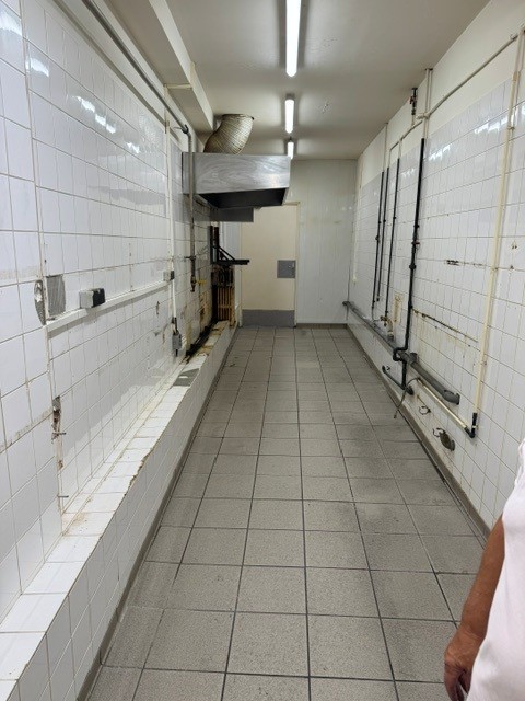 Vente de murs libres Local commercial 270 m² Mulhouse - 5