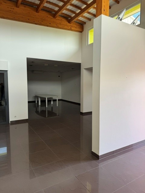 Vente de murs libres Entrepôt 585 m² Habsheim - 6