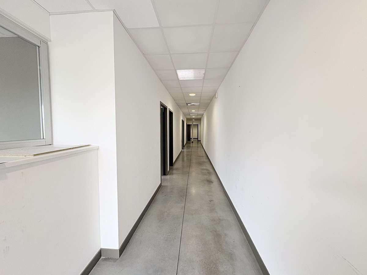 Vente de murs libres Entrepôt 940 m² Plaisance-du-Touch