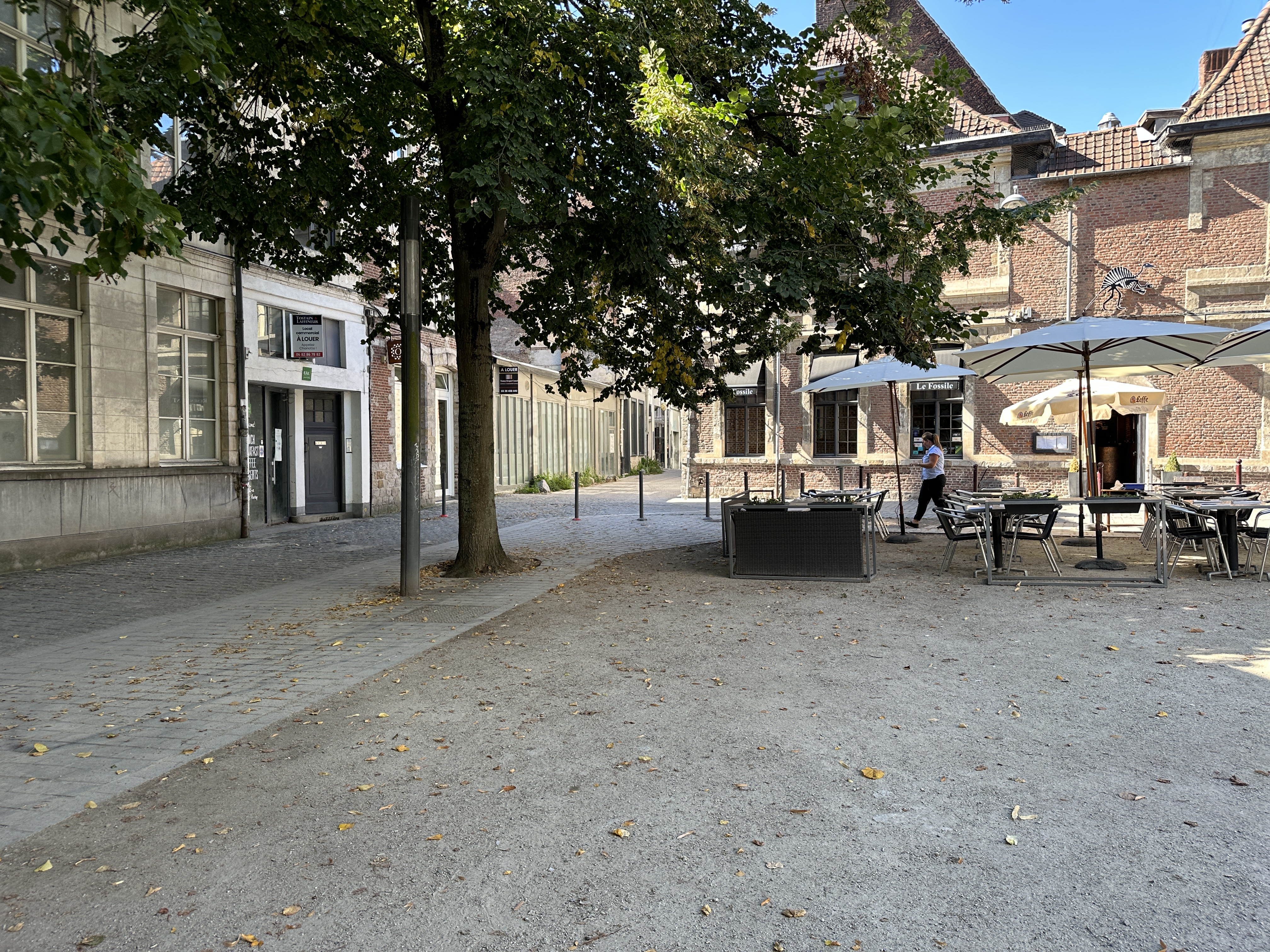 Location pure Local commercial 340 m² Lille - 8