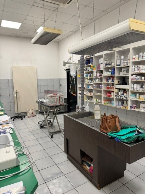 Vente de murs libres Local commercial 311 m² Mulhouse - 5