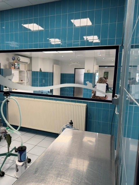 Vente de murs libres Local commercial 311 m² Mulhouse - 4