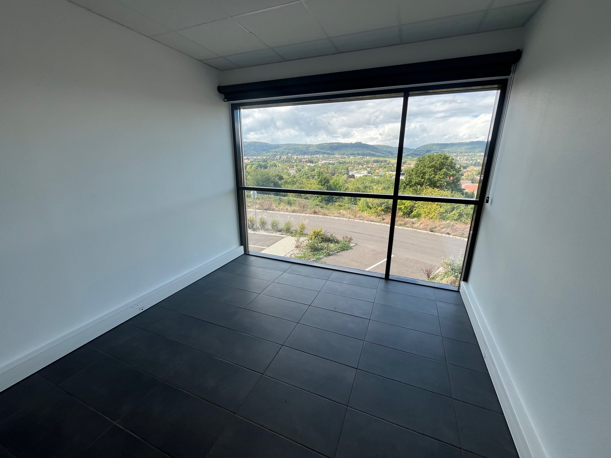 Location Entrepôt 6 425 m² Monswiller - 8