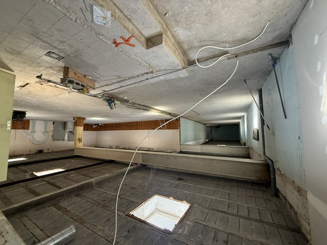 Vente de murs libres Entrepôt 935 m² Annecy - 4