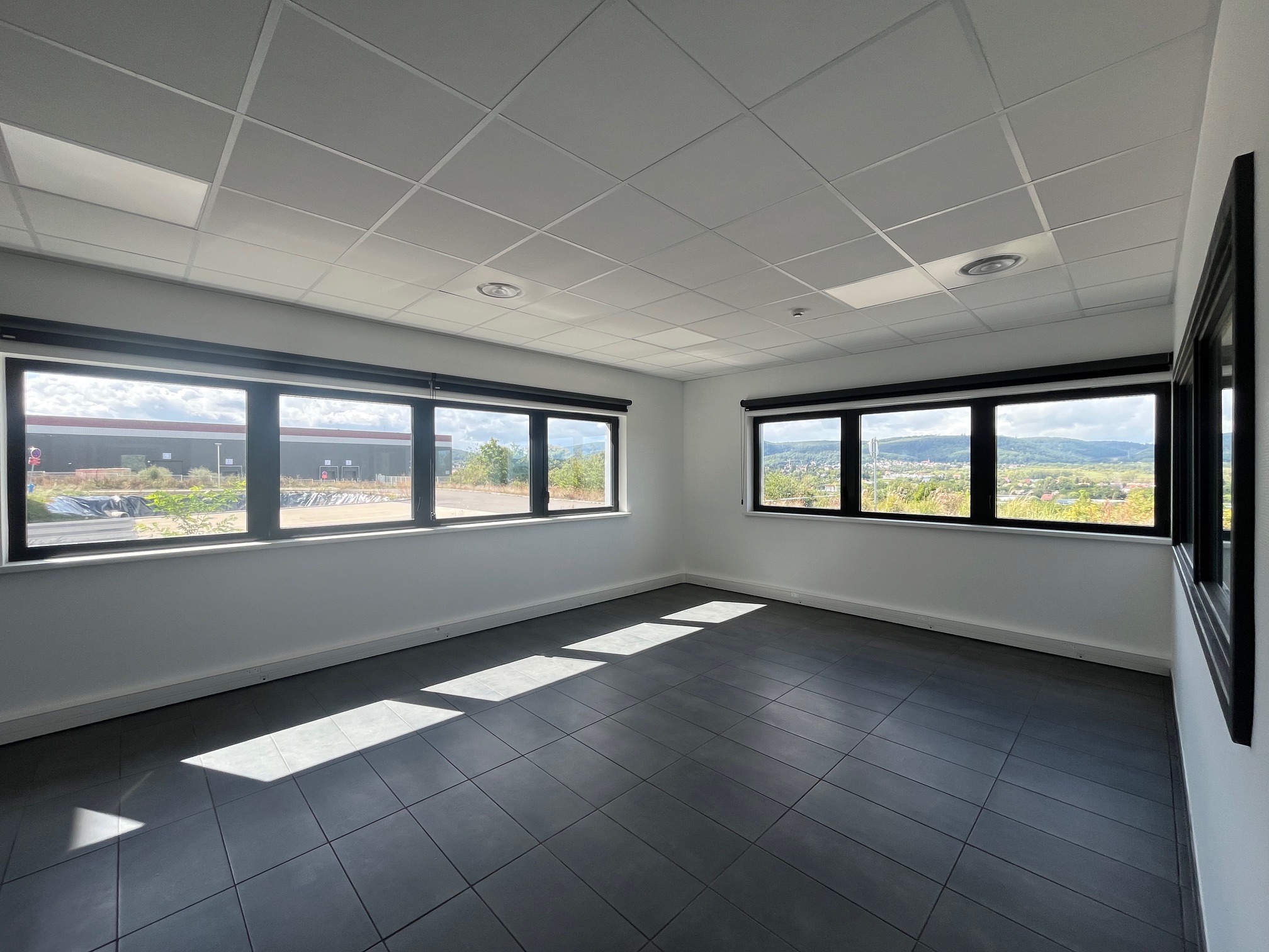 Location Entrepôt 6 425 m² Monswiller - 6