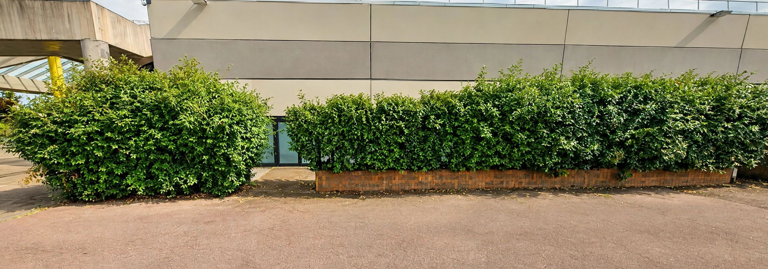 Location pure Local commercial 600 m² Villabé - 8