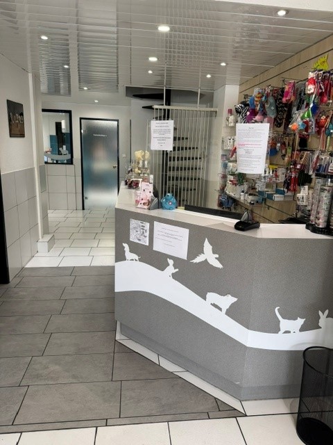 Vente de murs libres Local commercial 311 m² Mulhouse - 3
