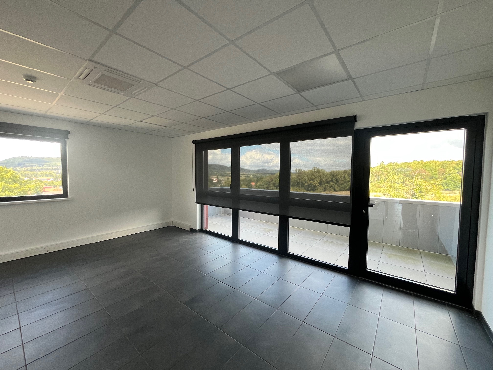 Location Entrepôt 6 425 m² Monswiller - 9
