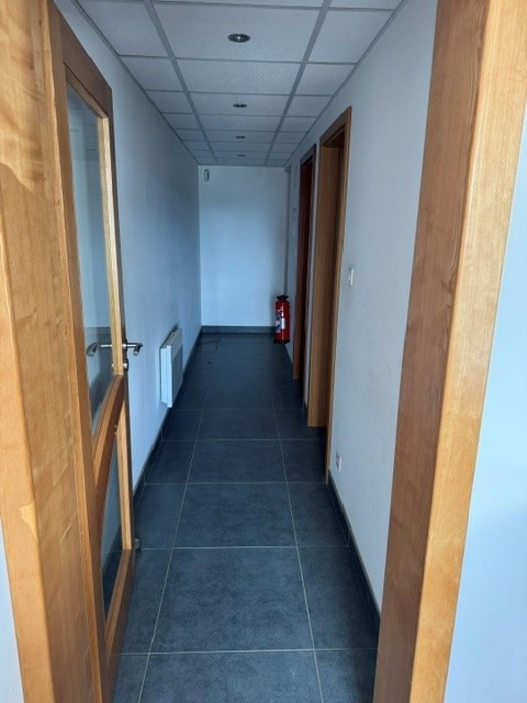 Vente de murs libres Entrepôt 585 m² Habsheim - 3