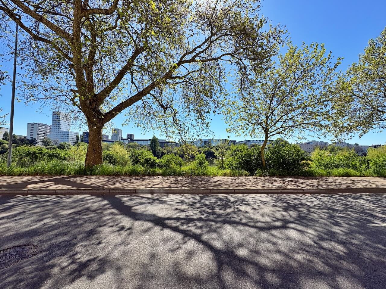 Location pure Local commercial 60 m² Nantes - 2