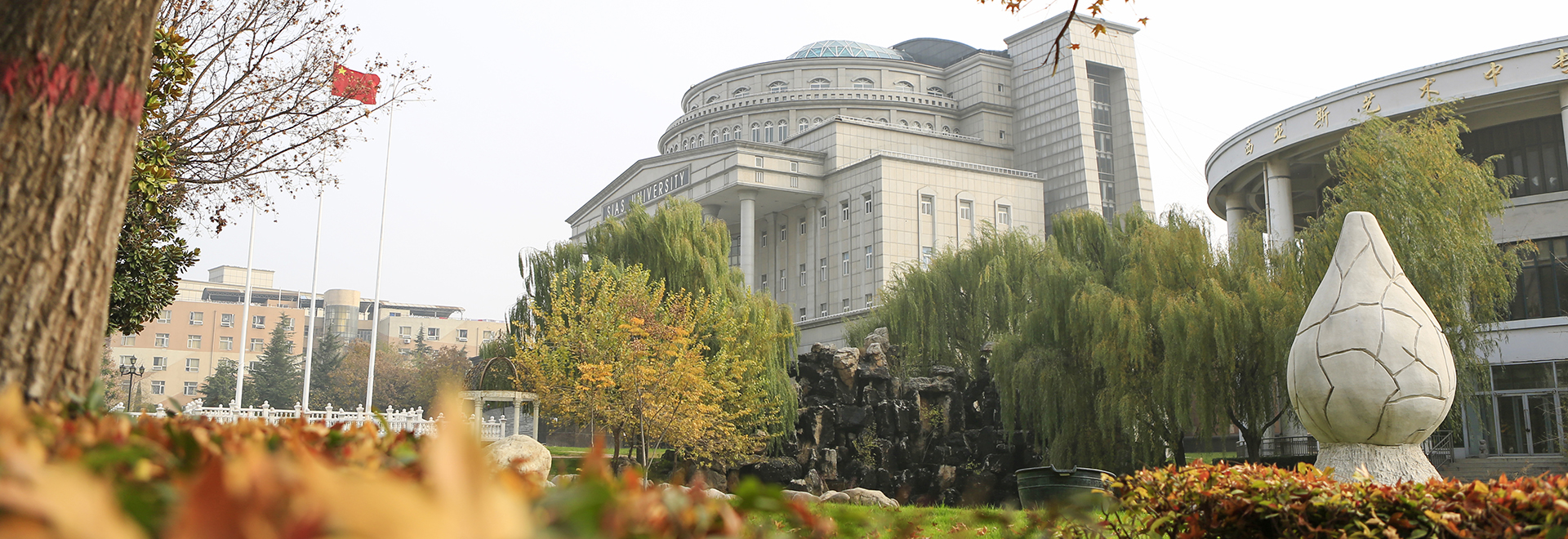 Hero image for Study in China