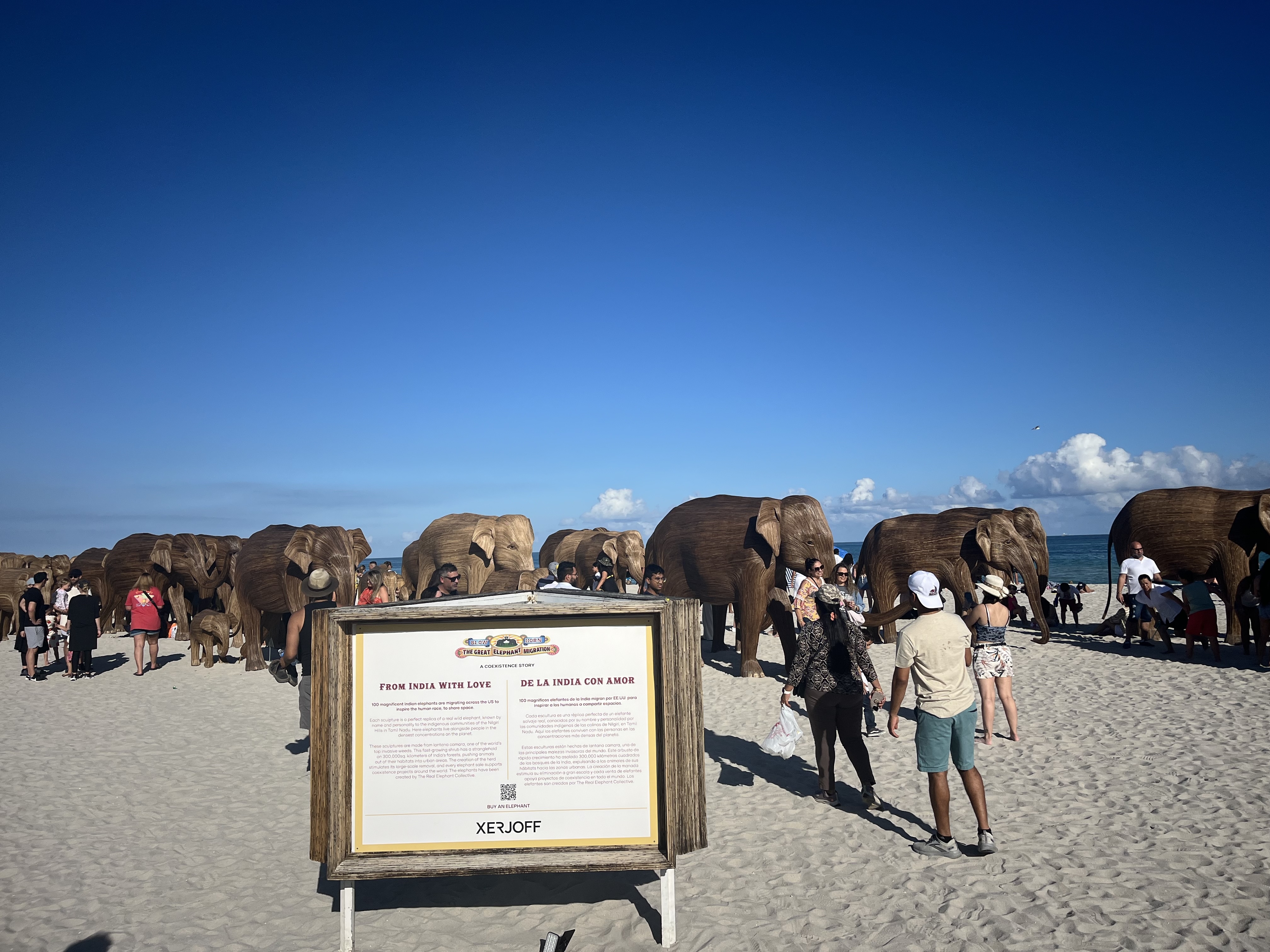 The Cultural Significance of Elephants in India and The Great Migration Exhibition in Miami Beach