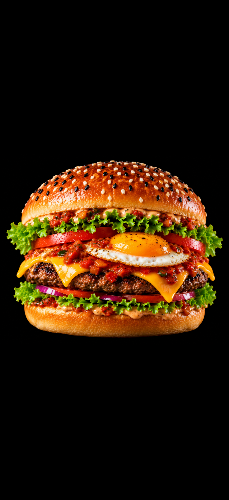 Photo du produit BURGER L'ORIENTAL, non contractuelle