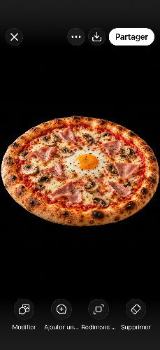 Photo du produit PIZZA REINE, non contractuelle