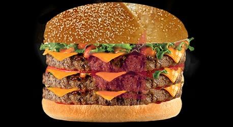 Photo du produit Burger 540, non contractuelle