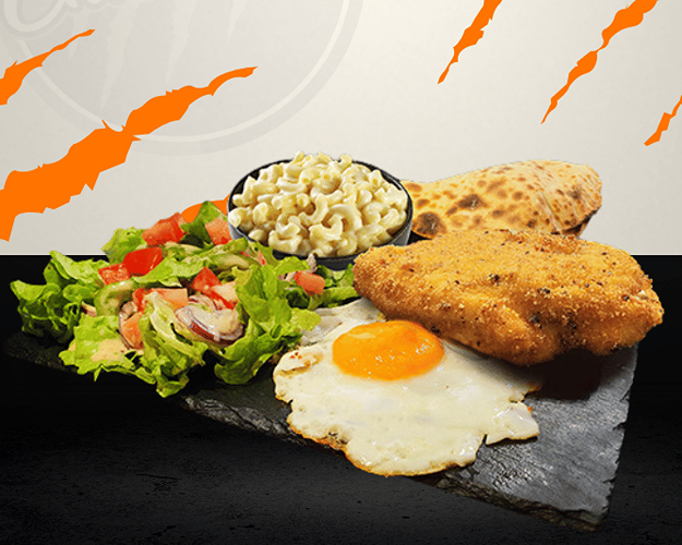 Photo du produit Assiette de tigre 🍽️, non contractuelle