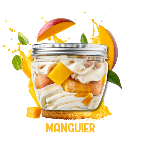 Photo du produit Tiramisu Manguier, non contractuelle