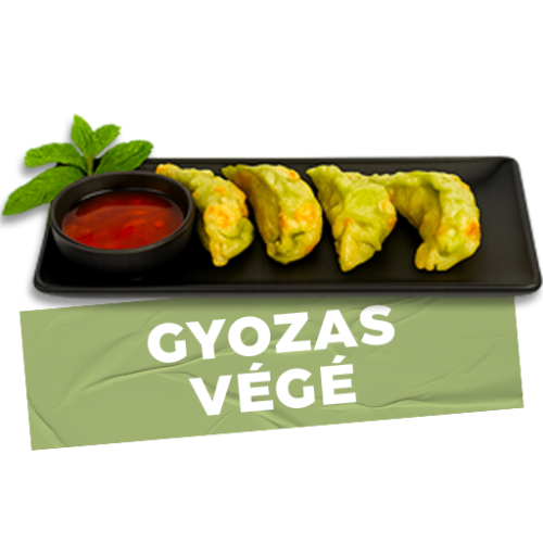 Photo du produit GYOZAS VÉGÉ X4, non contractuelle