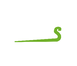 Logo de Burger S Villeurbanne