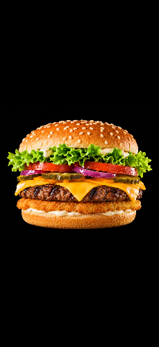 Photo du produit BURGER MIXTE, non contractuelle