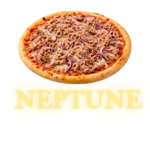 Photo du produit Neptune Pizza, non contractuelle