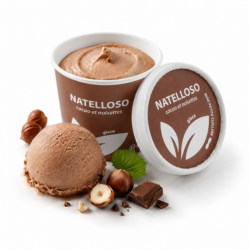 Photo du produit Glace Choco/Noisette, non contractuelle