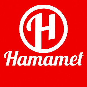 Logo de Hamamet Pizza Villeurbanne