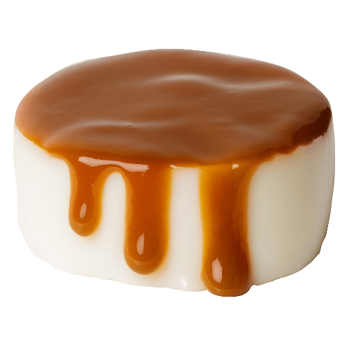 Photo du produit Panna cotta Caramel, non contractuelle