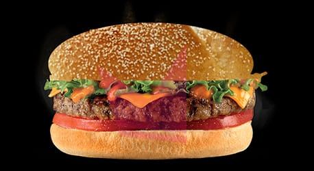 Photo du produit Burger 180, non contractuelle