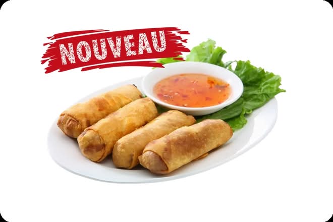 Photo du produit 3 NEMS AU POULET, non contractuelle