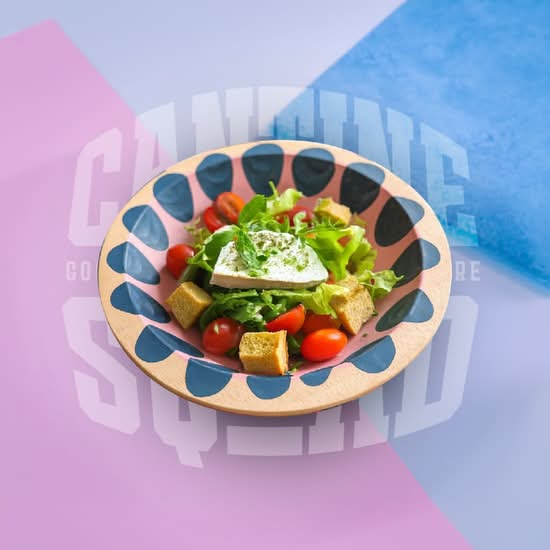 Photo du produit SaladeChèvre 🐐 , non contractuelle