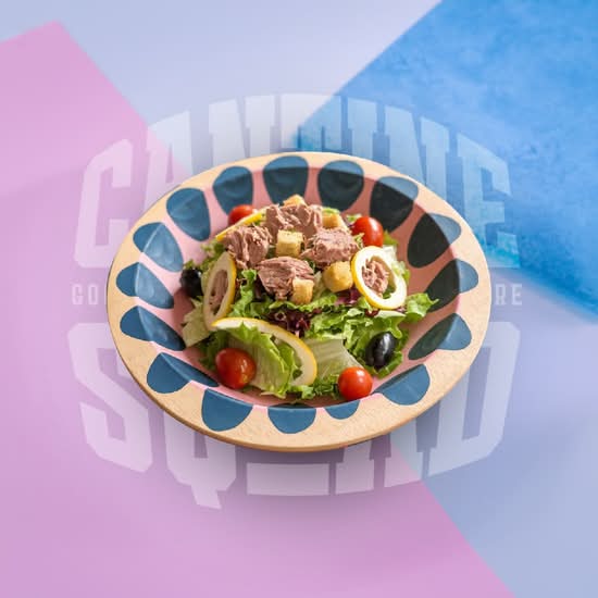Photo du produit Salade Thon 🐟 , non contractuelle