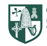 Logo Colegio San Patricio en La Moraleja
