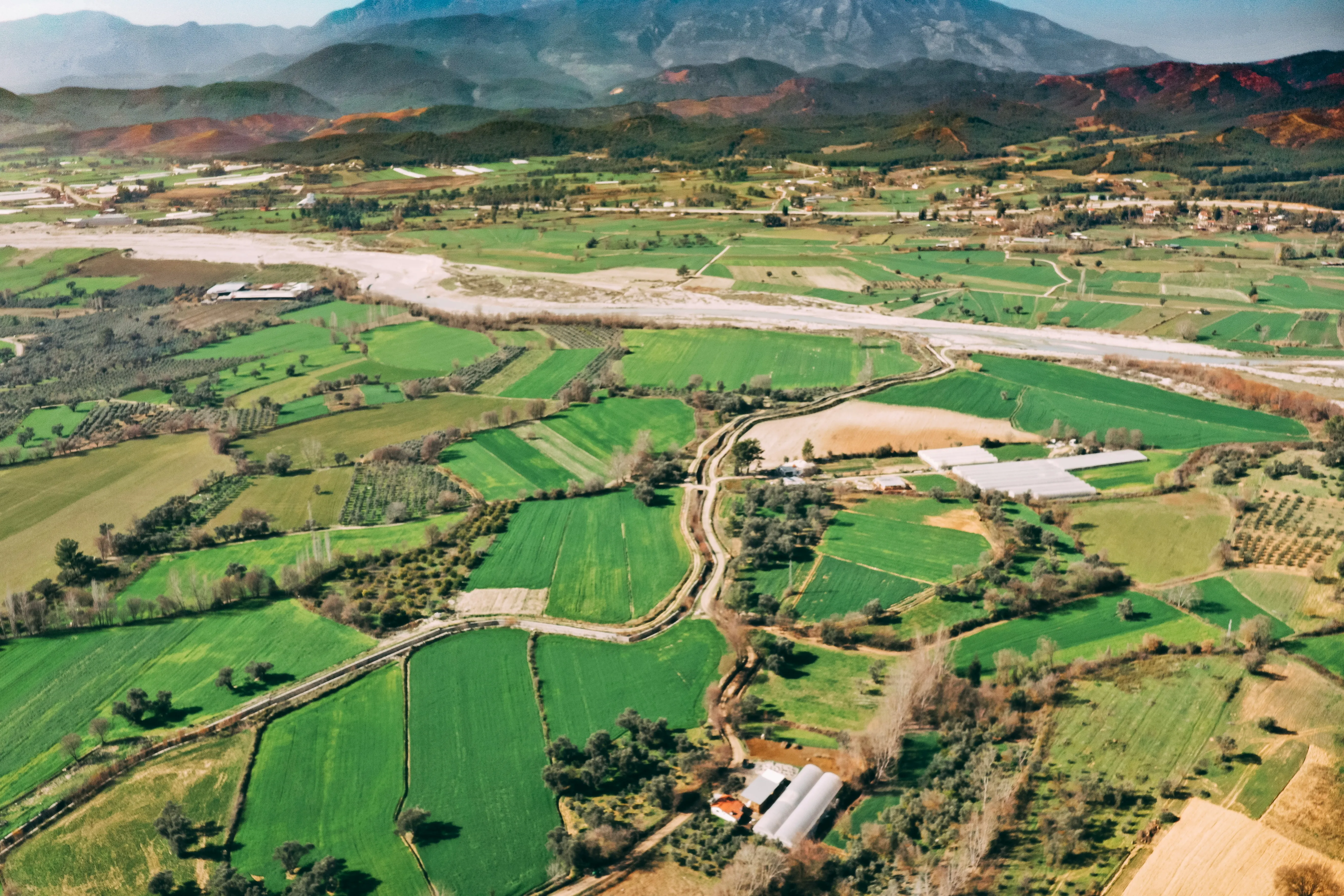 Landscape Design and Management