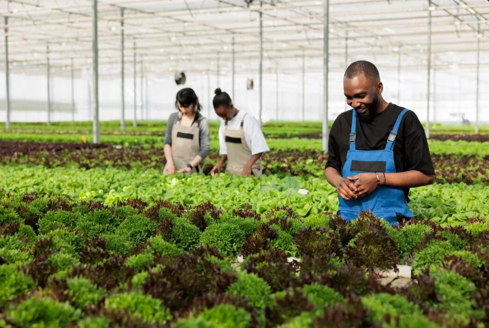 Ecological Agriculture