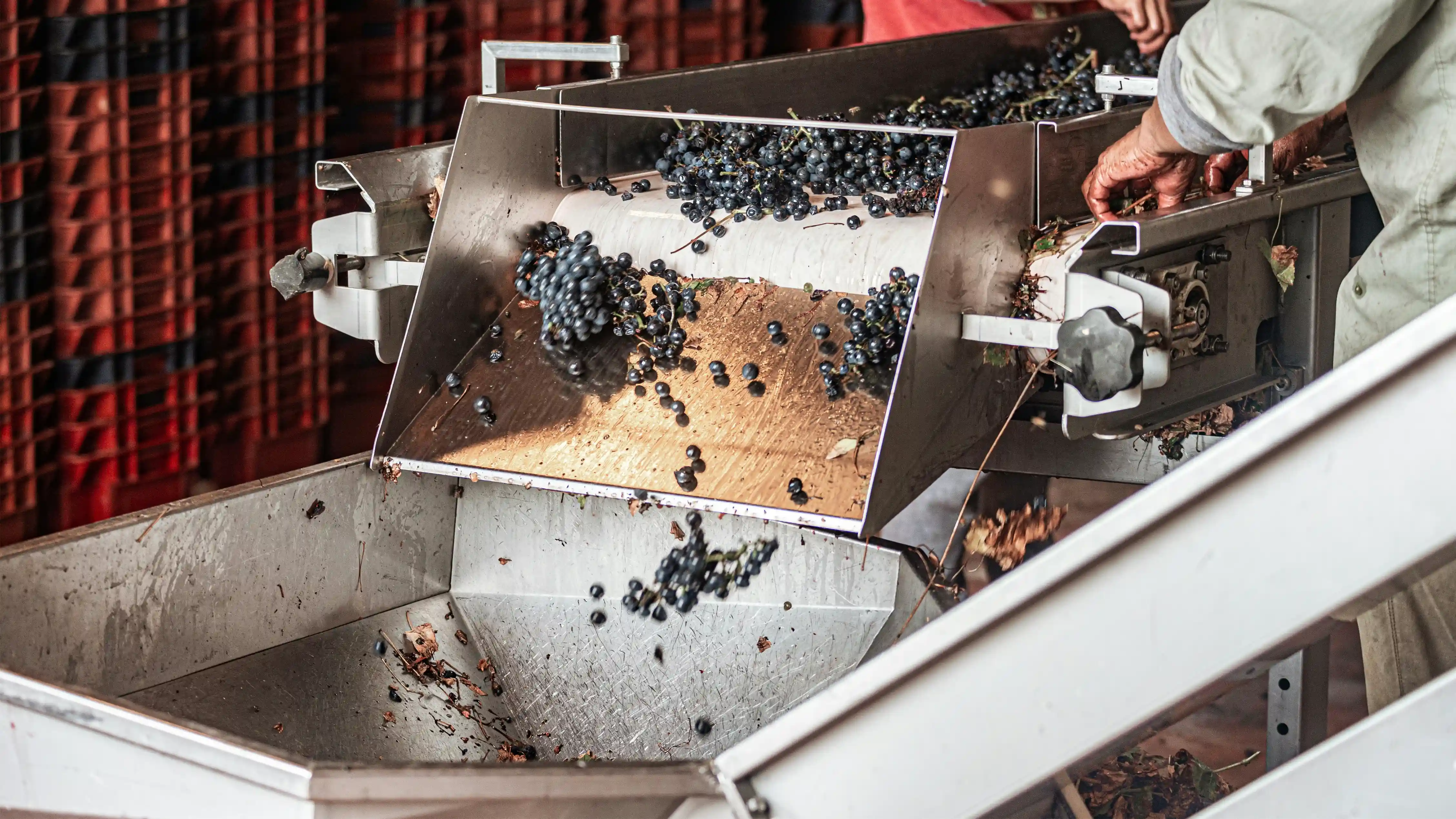 Food and Postharvest Technology
