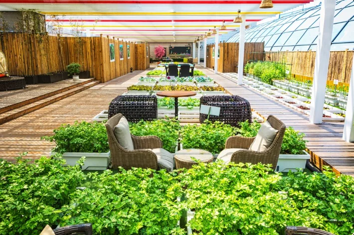Landscape Design and Management