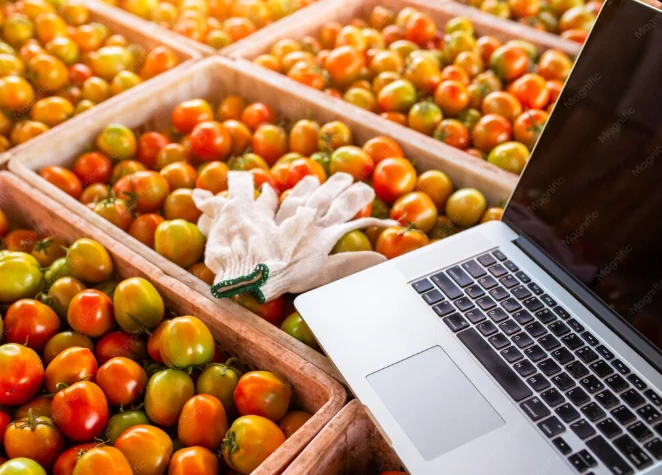 Post-Harvest Technology
