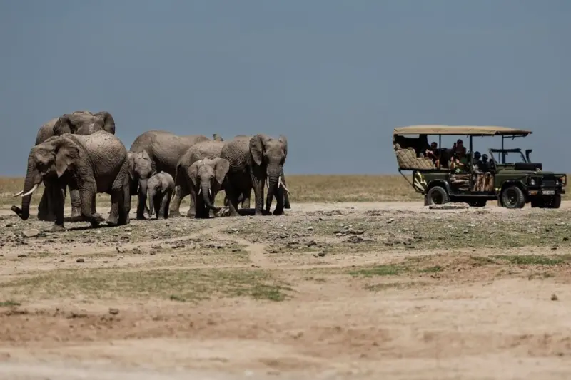 Visit Kenya
