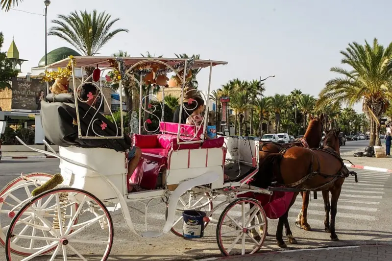 Visit Tunisia