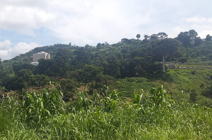 Mount Fébé uniresa