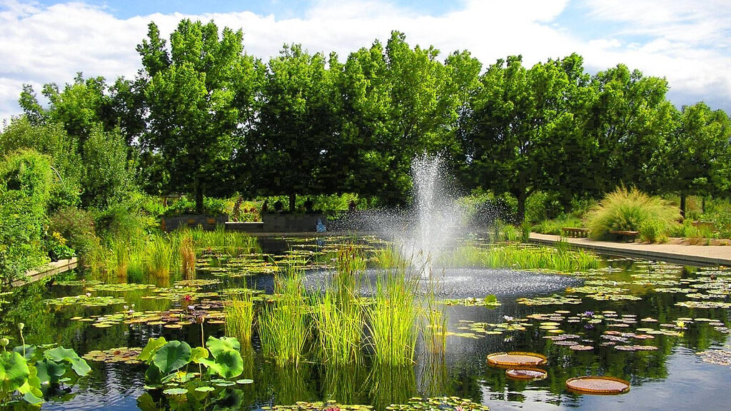 Limbe Botanic Garden