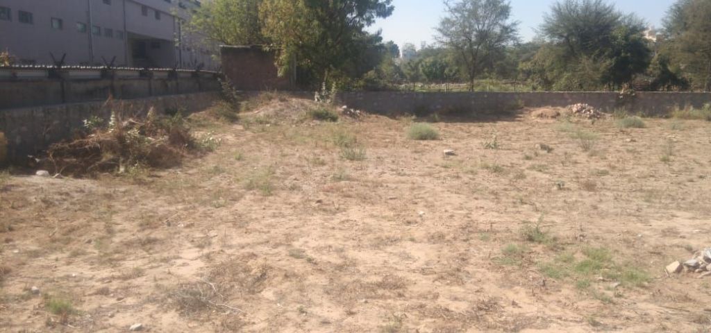 Land/Plot