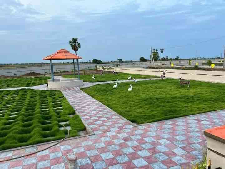Land/Plot