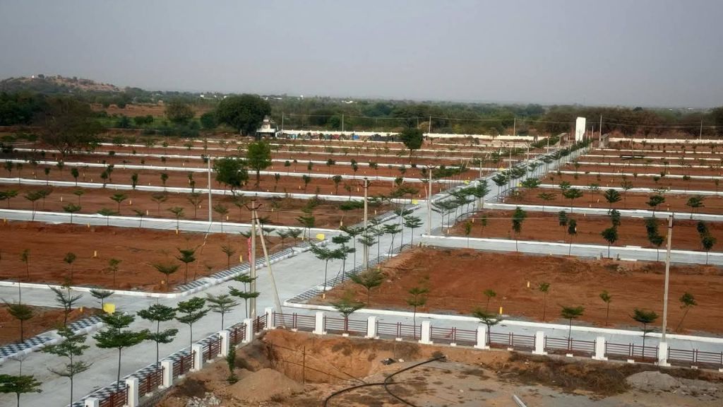 Land/Plot