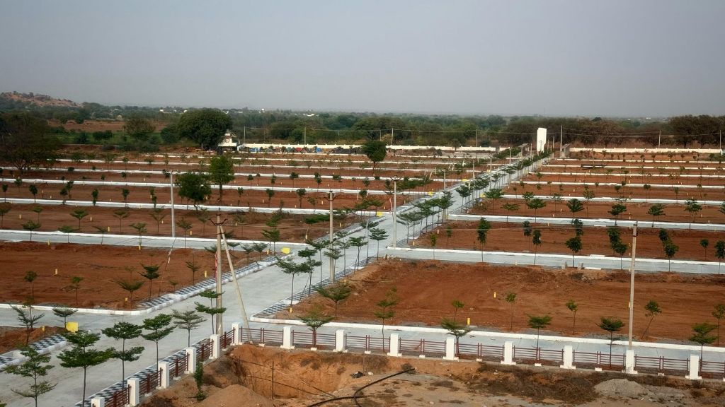 Land/Plot