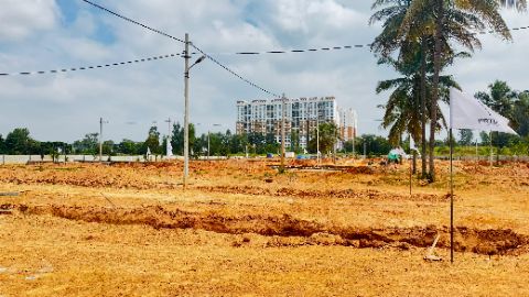 Land/Plot