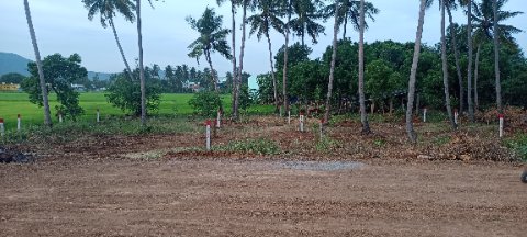 Land/Plot
